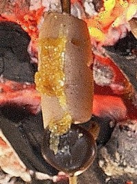 ����ɂႭ�ʐ^